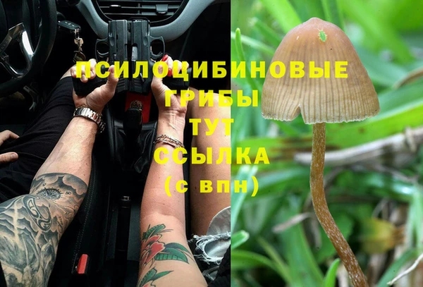герыч Абинск