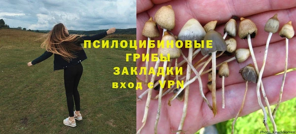 амф Абаза